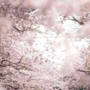 ヒメ日記 2025/03/28 12:08 投稿 心花(ここな) グランドオペラ福岡