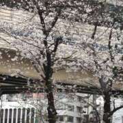 ヒメ日記 2025/03/29 13:58 投稿 心花(ここな) グランドオペラ福岡