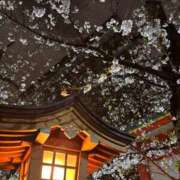 ヒメ日記 2025/03/30 19:21 投稿 心花(ここな) グランドオペラ福岡