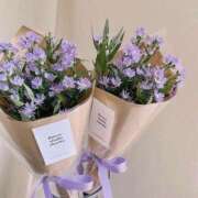 ヒメ日記 2025/04/06 17:51 投稿 心花(ここな) グランドオペラ福岡