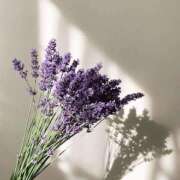 ヒメ日記 2025/04/06 19:21 投稿 心花(ここな) グランドオペラ福岡