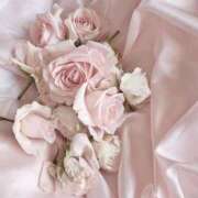 ヒメ日記 2025/04/07 23:51 投稿 心花(ここな) グランドオペラ福岡