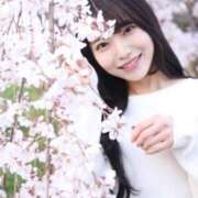 ヒメ日記 2025/04/29 13:02 投稿 心花(ここな) グランドオペラ福岡