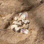 ヒメ日記 2025/05/02 00:01 投稿 心花(ここな) グランドオペラ福岡