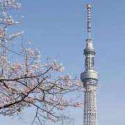 ヒメ日記 2025/05/09 12:24 投稿 心花(ここな) グランドオペラ福岡