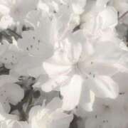 ヒメ日記 2025/05/16 19:20 投稿 心花(ここな) グランドオペラ福岡