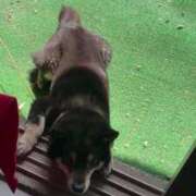 ヒメ日記 2025/05/19 14:51 投稿 心花(ここな) グランドオペラ福岡