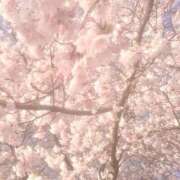 ヒメ日記 2025/06/09 16:51 投稿 心花(ここな) グランドオペラ福岡