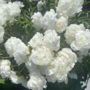 ヒメ日記 2025/06/20 18:36 投稿 心花(ここな) グランドオペラ福岡