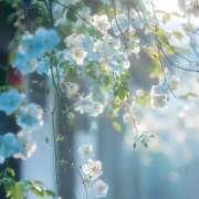 ヒメ日記 2025/06/23 17:57 投稿 心花(ここな) グランドオペラ福岡