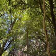 ヒメ日記 2025/06/29 23:11 投稿 心花(ここな) グランドオペラ福岡