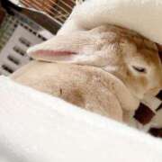 ヒメ日記 2025/08/05 15:04 投稿 心花(ここな) グランドオペラ福岡