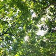 ヒメ日記 2025/08/06 06:41 投稿 心花(ここな) グランドオペラ福岡