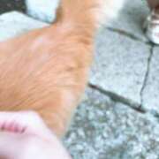 ヒメ日記 2025/08/20 12:50 投稿 心花(ここな) グランドオペラ福岡