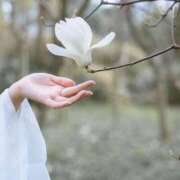 ヒメ日記 2025/09/27 23:31 投稿 心花(ここな) グランドオペラ福岡