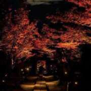 ヒメ日記 2025/10/08 21:46 投稿 心花(ここな) グランドオペラ福岡