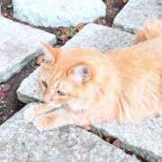 ヒメ日記 2025/10/13 18:48 投稿 心花(ここな) グランドオペラ福岡