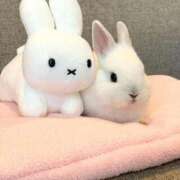 ヒメ日記 2025/10/20 22:01 投稿 心花(ここな) グランドオペラ福岡