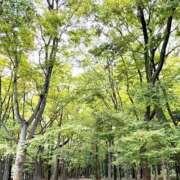 ヒメ日記 2025/10/27 17:26 投稿 心花(ここな) グランドオペラ福岡