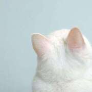 ヒメ日記 2025/11/06 16:31 投稿 心花(ここな) グランドオペラ福岡