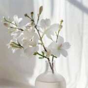 ヒメ日記 2025/11/10 12:01 投稿 心花(ここな) グランドオペラ福岡