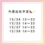 ヒメ日記 2024/12/24 15:17 投稿 星野みな e女商事 池袋店