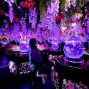 美雪 日常感♡ 鶯谷人妻城