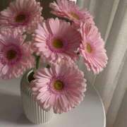 彩藤 みく ごめんなさい。😭 コンフォート