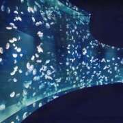 ヒメ日記 2025/03/10 17:16 投稿 中野咲季(なかのさき) 鶯谷ナンバーワン