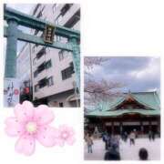 ヒメ日記 2025/04/07 16:49 投稿 中野咲季(なかのさき) 鶯谷ナンバーワン