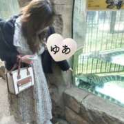 ヒメ日記 2025/03/31 15:48 投稿 ゆあ モアグループ南越谷人妻花壇