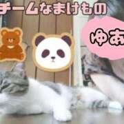 ヒメ日記 2025/10/25 22:18 投稿 ゆあ モアグループ南越谷人妻花壇