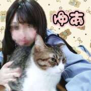 ヒメ日記 2025/10/26 15:03 投稿 ゆあ モアグループ南越谷人妻花壇