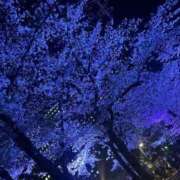 ヒメ日記 2025/04/04 22:39 投稿 みこと G-STAGE