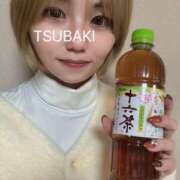 ヒメ日記 2024/12/14 12:06 投稿 つばき ラブライフ所沢川越