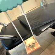 ヒメ日記 2026/02/08 04:04 投稿 つばき Love Life(ラブライフ) 池袋店