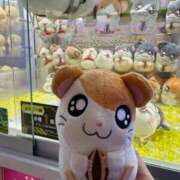 ヒメ日記 2026/03/19 15:14 投稿 つばき ラブライフさいたま