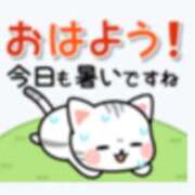 ヒメ日記 2025/07/29 05:58 投稿 浅倉 松戸おかあさん