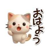 ヒメ日記 2025/08/01 08:15 投稿 浅倉 松戸おかあさん