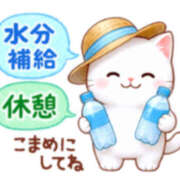 ヒメ日記 2025/08/06 08:15 投稿 浅倉 松戸おかあさん