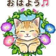 ヒメ日記 2025/08/29 08:15 投稿 浅倉 松戸おかあさん