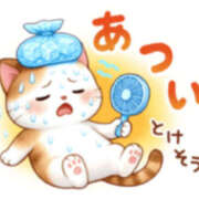 ヒメ日記 2025/09/02 08:15 投稿 浅倉 松戸おかあさん