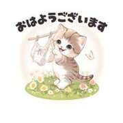 ヒメ日記 2025/09/12 06:11 投稿 浅倉 松戸おかあさん