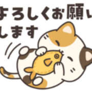 ヒメ日記 2025/12/16 08:35 投稿 浅倉 松戸おかあさん