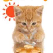 ヒメ日記 2026/02/13 08:08 投稿 浅倉 松戸おかあさん