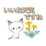 ヒメ日記 2026/06/16 08:12 投稿 浅倉 松戸おかあさん