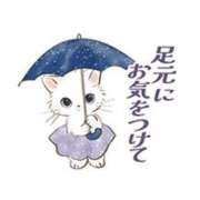 ヒメ日記 2026/09/16 07:16 投稿 浅倉 松戸おかあさん