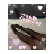 ヒメ日記 2026/04/13 21:21 投稿 まな スピードエコ京橋店