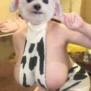 ヒメ日記 2025/12/28 12:04 投稿 しろ クラブKG