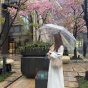 ヒメ日記 2026/03/01 07:00 投稿 小山そら MIRAI TOKYO 六本木店